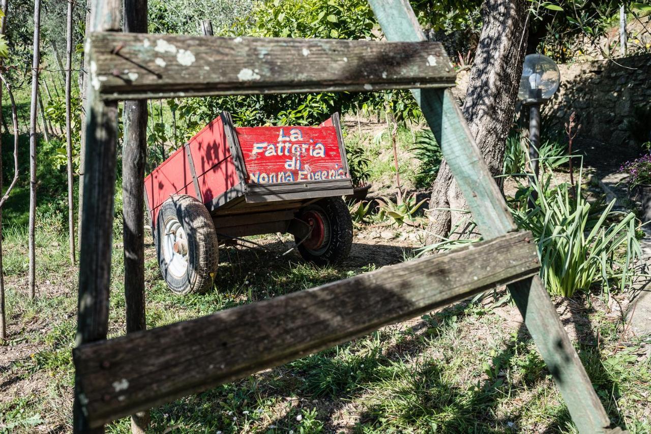לינה וארוחת בוקר לריצ'י La Fattoria Di Nonna Eugenia מראה חיצוני תמונה