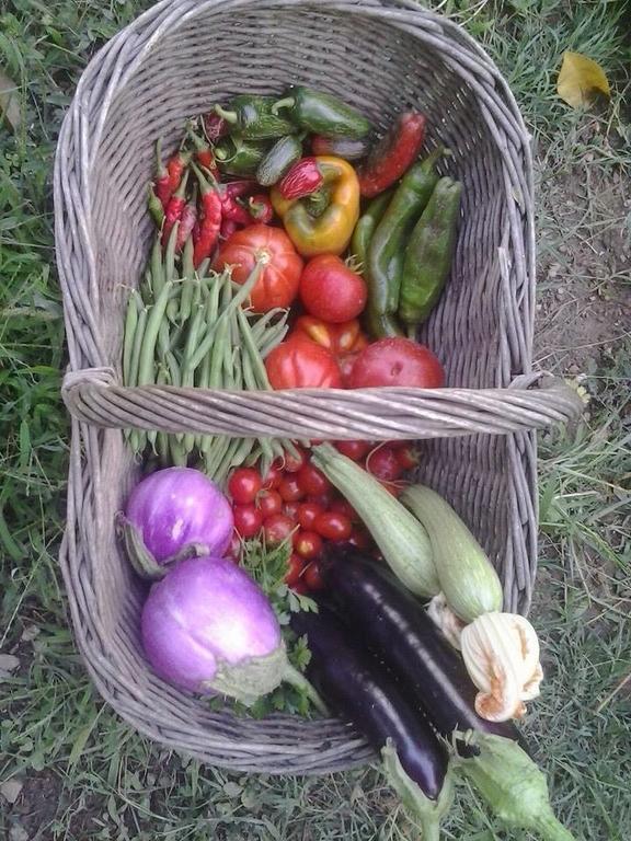 לינה וארוחת בוקר לריצ'י La Fattoria Di Nonna Eugenia מראה חיצוני תמונה